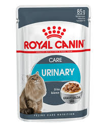 Royal Canin CAT WET