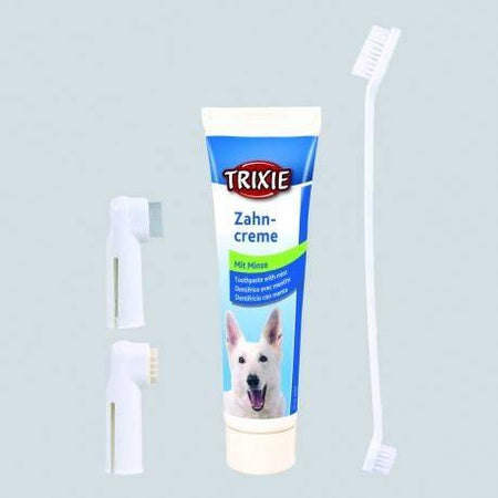 TRIXIE Dental care kit Toothpaste+2 heads Beef PG-3338